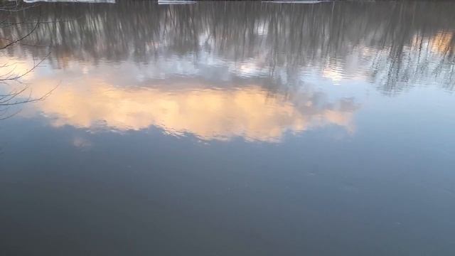 17 апреля 2024 г. смотреть онлайн