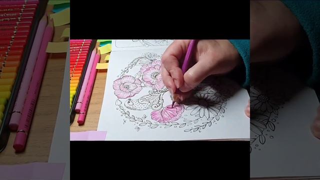 Meine Reise durch Asian by Rita Berman with Faber-Castell Polychromos Part 1 of 3 смотреть онлайн