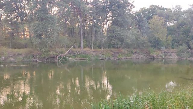 VID_20240823_190051 смотреть онлайн