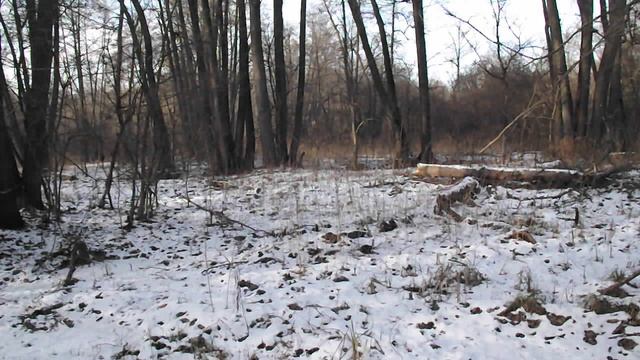 DSCF6225 смотреть онлайн