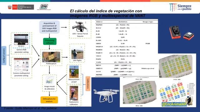 Instituto E.A.AR – Aplicaciones del monitoreo remoto con drones y sensores multiespectrales смотреть онлайн