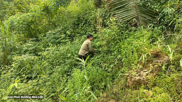 Going home to visit Phuc at home, get married, Get grass to feed the goat/ Life Living Nature Day 2 смотреть онлайн