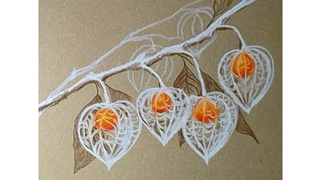 Кружевной физалис. Как нарисовать цветок пастелью и карандашами. смотреть онлайн