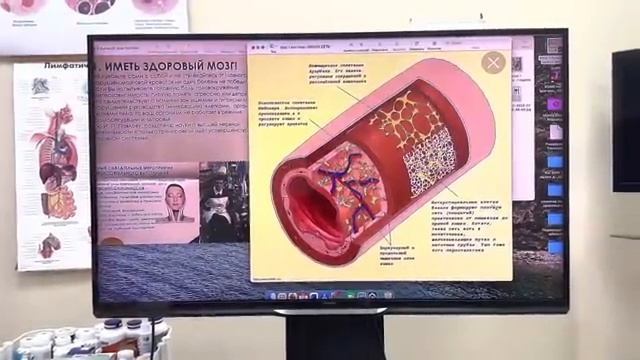 Рекомендации Ольги Шишовой о здоровье