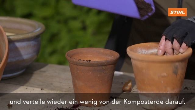 STIHL Gartentipps Herbst: Blumenzwiebeln einpflanzen смотреть онлайн