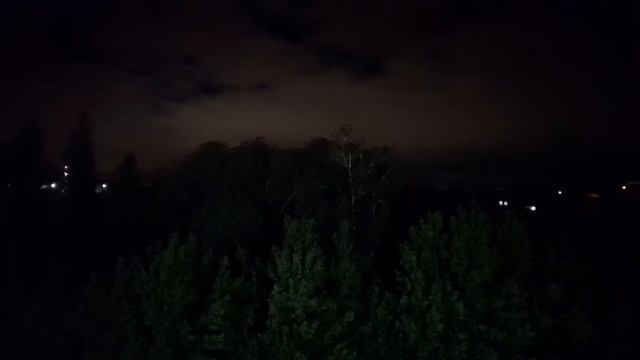 лицо дерева и мурашки по спине смотреть онлайн