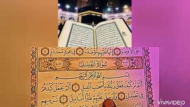 Tafsiroul Qur'aan Sourate Al-Fīl •Alam Tara Kayfa• (Wolof) смотреть онлайн