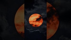 Тяжело любимых терять