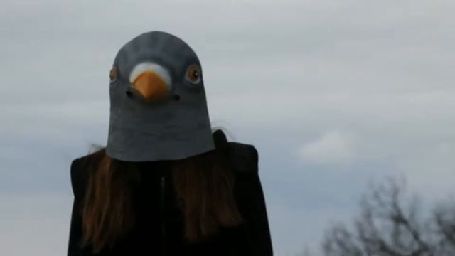 Голубь. смотреть онлайн