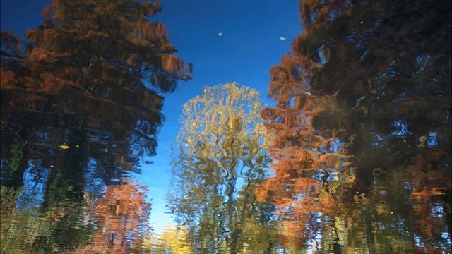 Vladigerov - Autumn elegy op. 15 / Stella Timenova, Piano смотреть онлайн