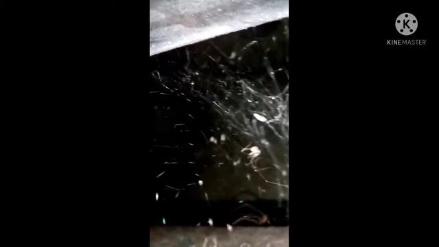 I like spider.. guy's suport by you tube Chanel.. tatzkievlog. music смотреть онлайн