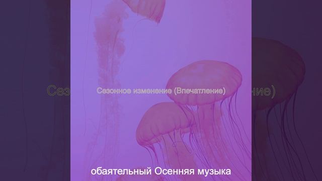 Атмосфера (Смена времен года) смотреть онлайн