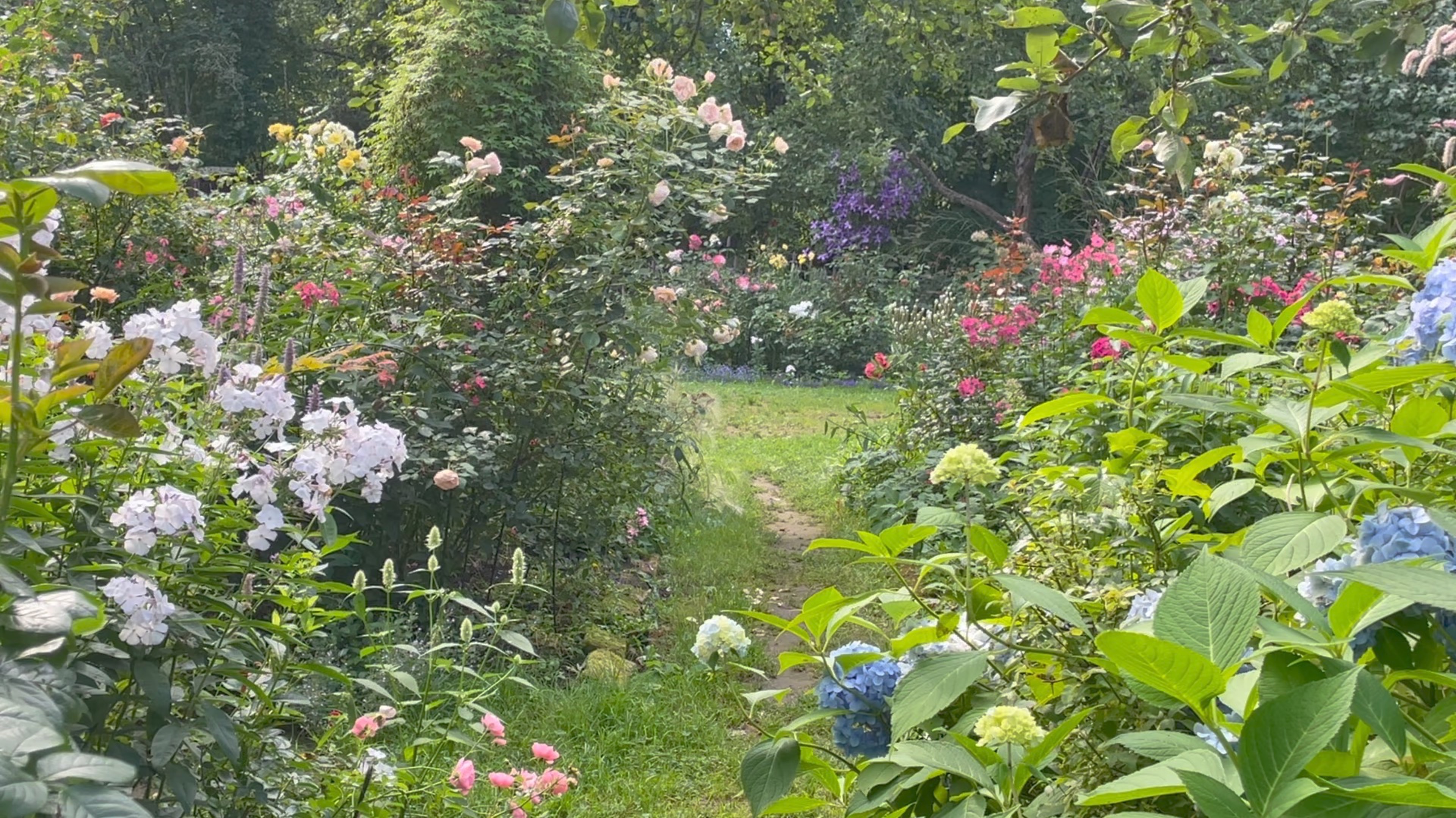 Сентябрь в Саду 3 сентября 2023 часть 1