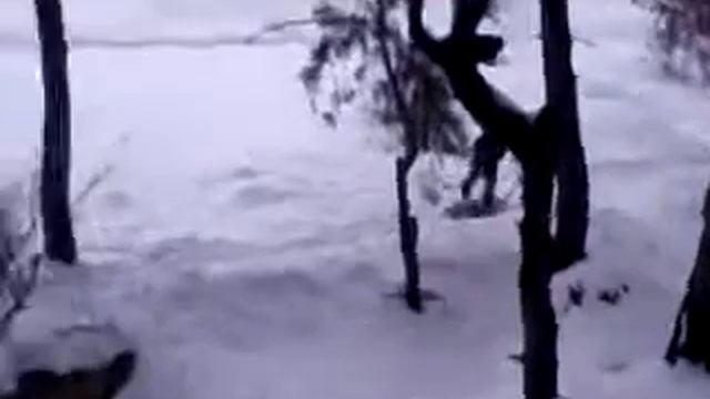 лЕсАпЕд мОй лЕсАпЕд1 смотреть онлайн