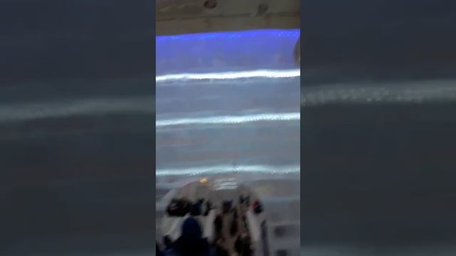 Лабиринт изо льда и снега смотреть онлайн