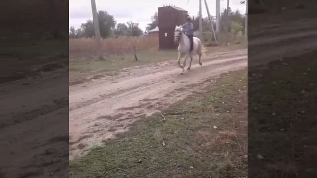 лошади мая жизни смотреть онлайн