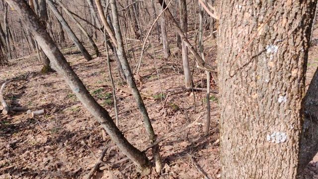 VID_20240325_102623 смотреть онлайн