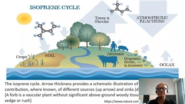 13 CH4 CO2 Interactions and Isoprene Emissions смотреть онлайн