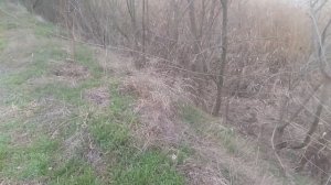 Пёс 1 сезон 3 серия  Смотри все серии