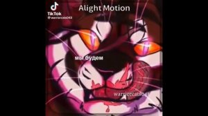 подборка коты-воители из тик-тока