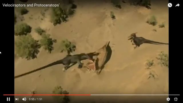 Velociraptor Vs Protoceratops