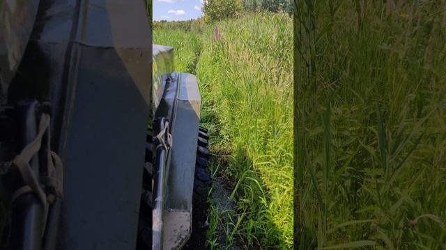 VID_20240629_103648 смотреть онлайн