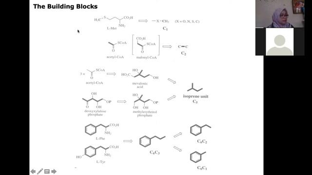 Tutorial HLC: Secondary Metabolism: Building Blocks and Construction Mechanism смотреть онлайн