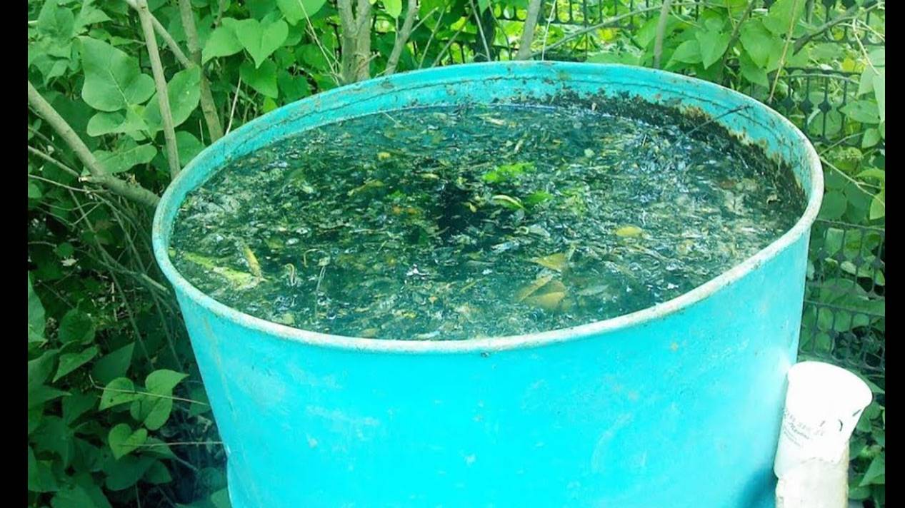 ПОЛЕЗНЫЕ СОВЕТЫ