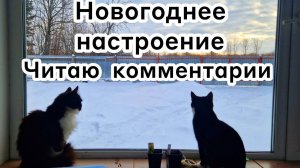 Новогоднее настроение  Читаю ваши комментарии