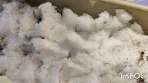 15 февраля 2025 посев лука Эксибишен на рассаду