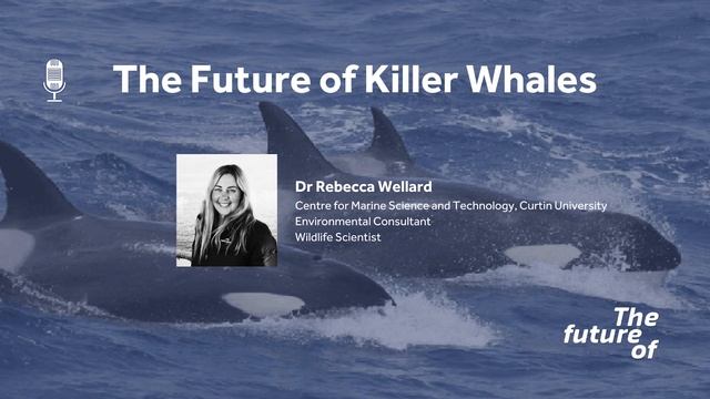 The Future Of: Killer Whales [FULL PODCAST EPISODE] смотреть онлайн