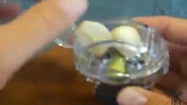 siekacz do czosnku Garlic Zoom смотреть онлайн