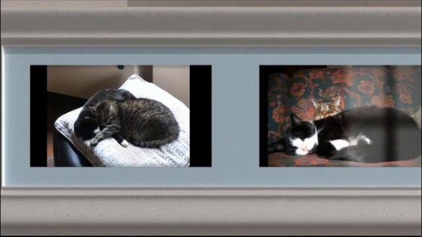 20 ans d'amour et d'aventures ....