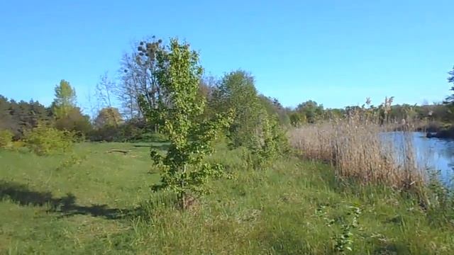 р. Крапивна смотреть онлайн