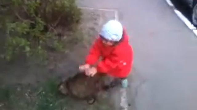 4 ноября 2016 г. смотреть онлайн