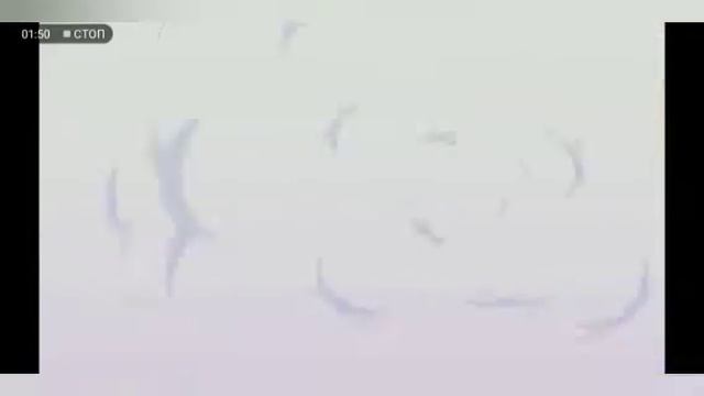 песня ДОМЕРА Фармим опыт наоборот смотреть онлайн