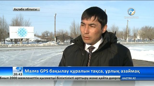 Малға GPS бақылау құралын тақса, ұрлық азаймақ смотреть онлайн