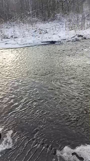 Запахло весной