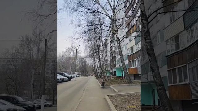 Moscow, Bibirevo District 12.02.2025