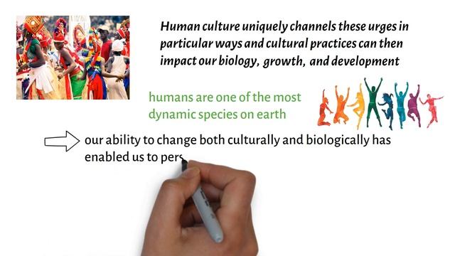 What is Culture and Why does it Matter? смотреть онлайн
