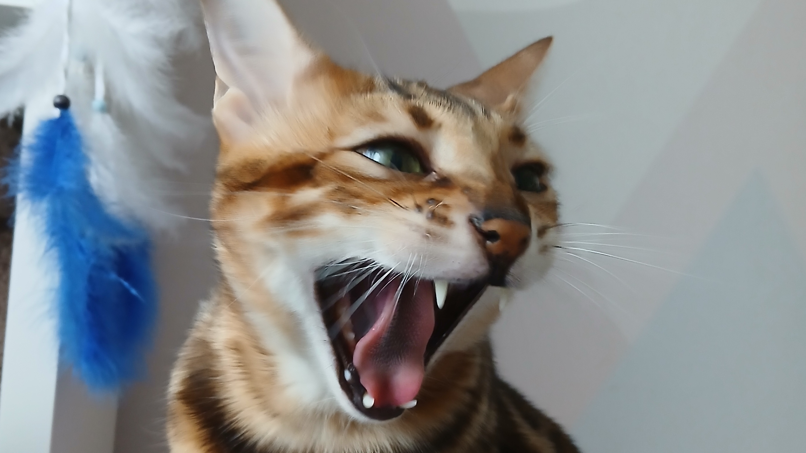 1 сезон детективного сериала. смотреть онлайн