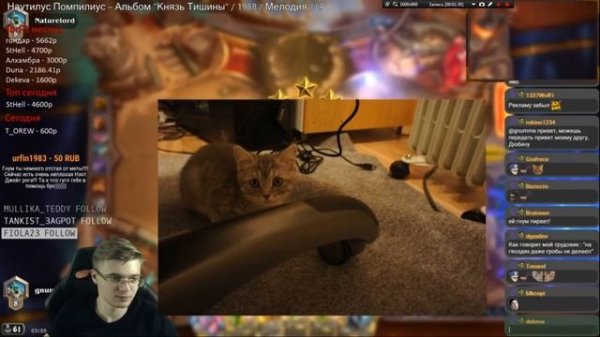 Gnumme убивает кошку в прямом эфире!!! | 21+