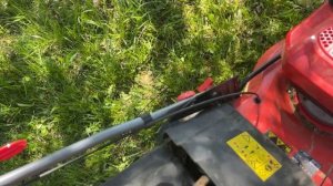 20 мая 2024 г. Газонокосилка ECO LG-735. 3 год эксплуатации.