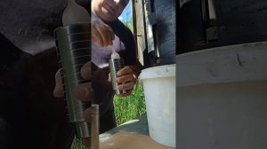 технопланктон для толстолобика своими руками.