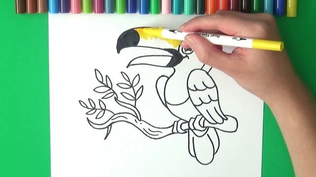 Learn how to Draw and Color Birds | Tucan | Learn Colors for kids and toddlers смотреть онлайн
