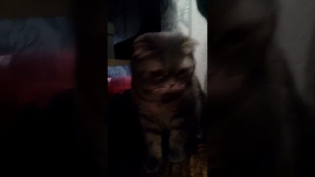 Моя Мари)) смотреть онлайн