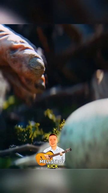 На тоненького🙈 Фильм: Планета обезьян 4 (2024) #youtubeshorts #кино #топ #обезьяна смотреть онлайн