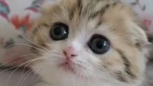 страшный момент