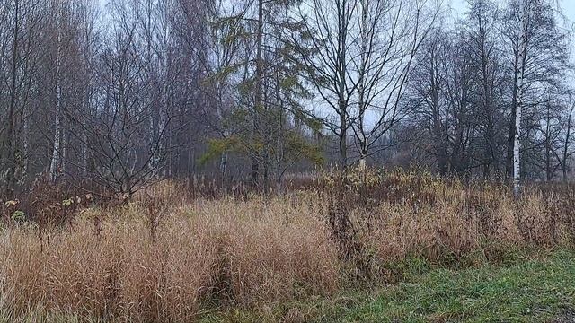 Осенний Английский пруд смотреть онлайн