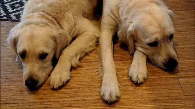 Mom put a video camera in the children's bedroom and was very surprised by what she saw. смотреть онлайн